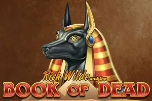 Book of Dead Basswin Сasino